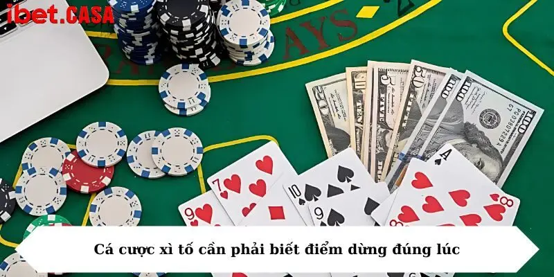 Cá cược xì tố cần phải biết điểm dừng đúng lúc