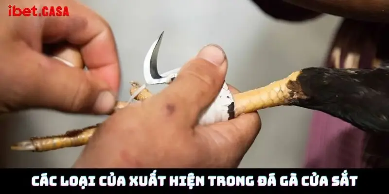 Các loại của xuất hiện trong đá gà cửa sắt