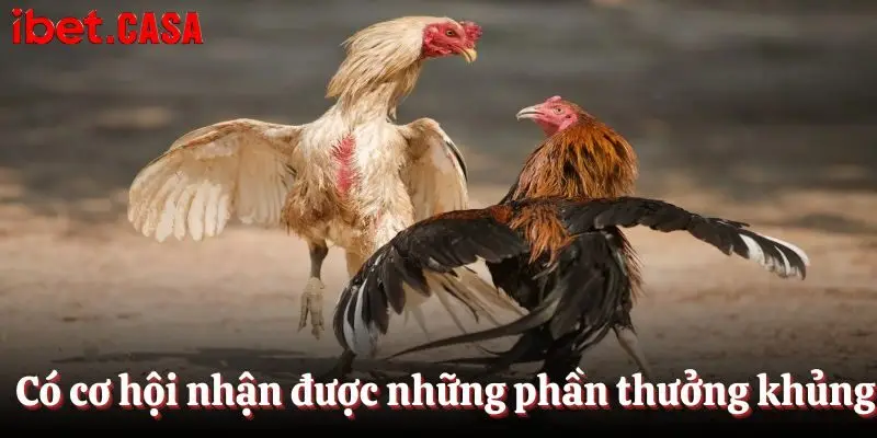 Có cơ hội nhận được những phần thưởng khủng tại IBET