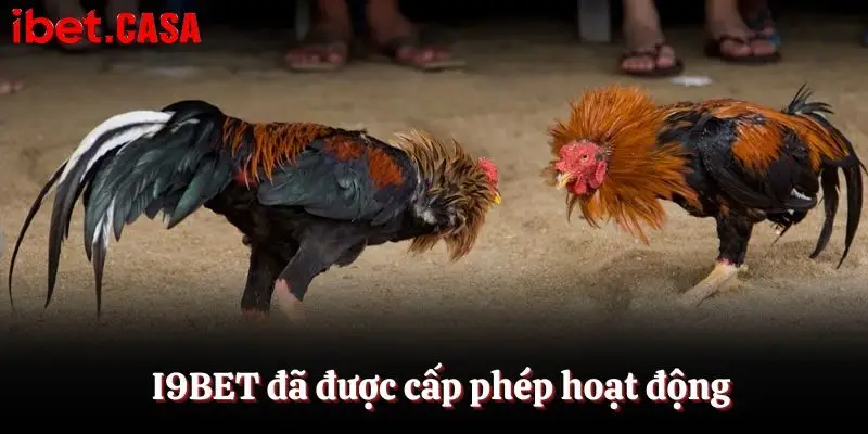 Có thể tham gia IBET vì nền tảng đã được cấp phép