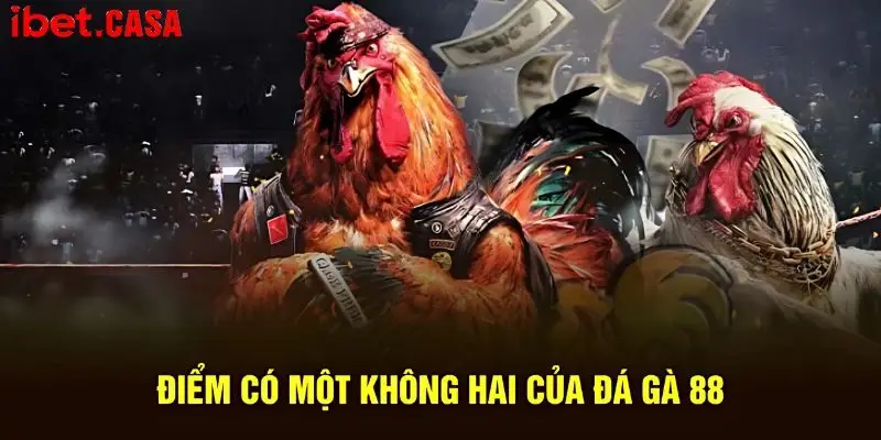Điểm danh các ưu điểm nổi bật quy tụ ở chọi kê 88