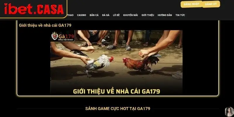 Sân chơi đá gà 179 chất lượng cao, đáng chơi trong 2025
