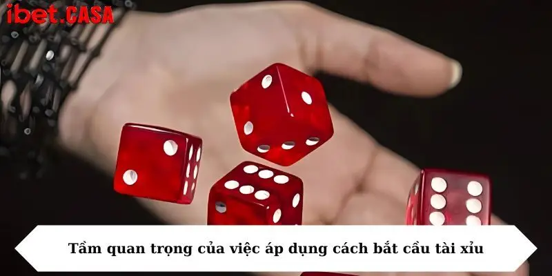 Tầm quan trọng của việc áp dụng cách bắt cầu tài xỉu