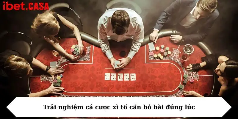Trải nghiệm cá cược xì tố cần bỏ bài đúng lúc